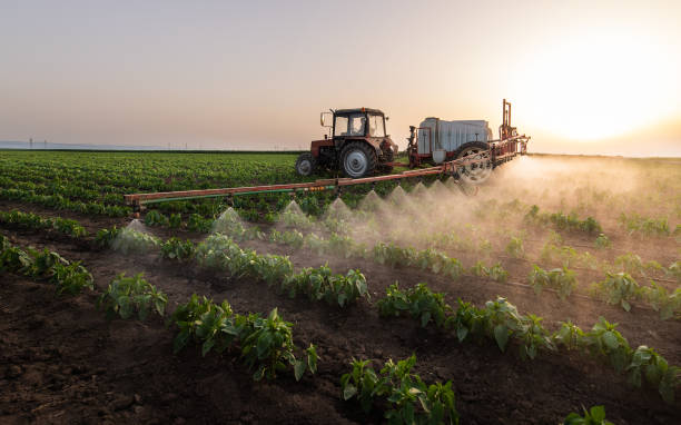 Best Pest Removal Services  in Lincolnshire, IL
