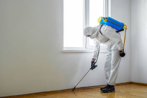 Best Insect Control  in Lincolnshire, IL