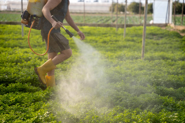 Best Best Pest Control Companies  in Lincolnshire, IL