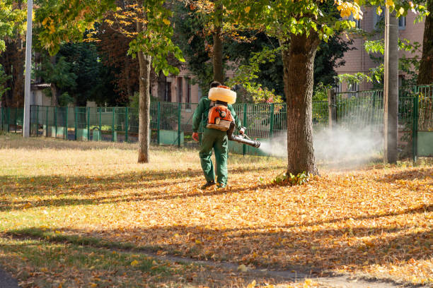 Pest Prevention Services in Lincolnshire, IL