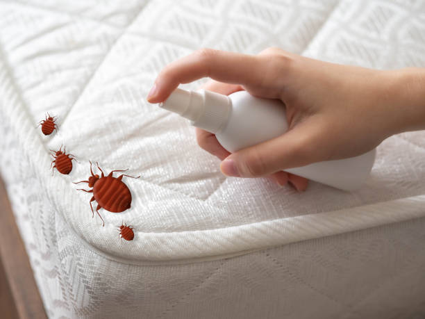 Best Affordable Pest Control Services  in Lincolnshire, IL