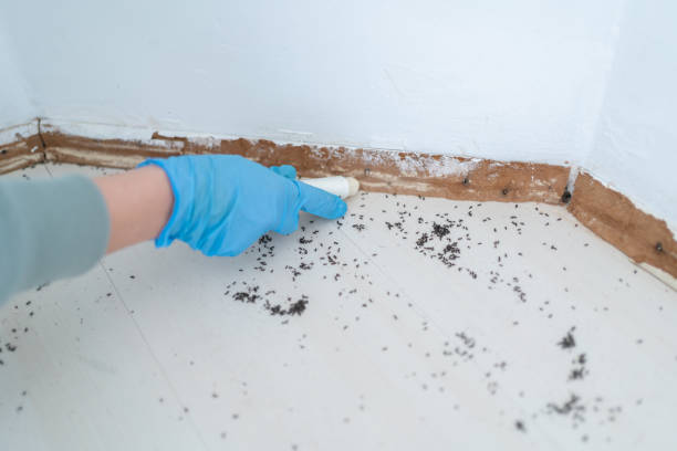 Best Commercial Pest Control Services  in Lincolnshire, IL